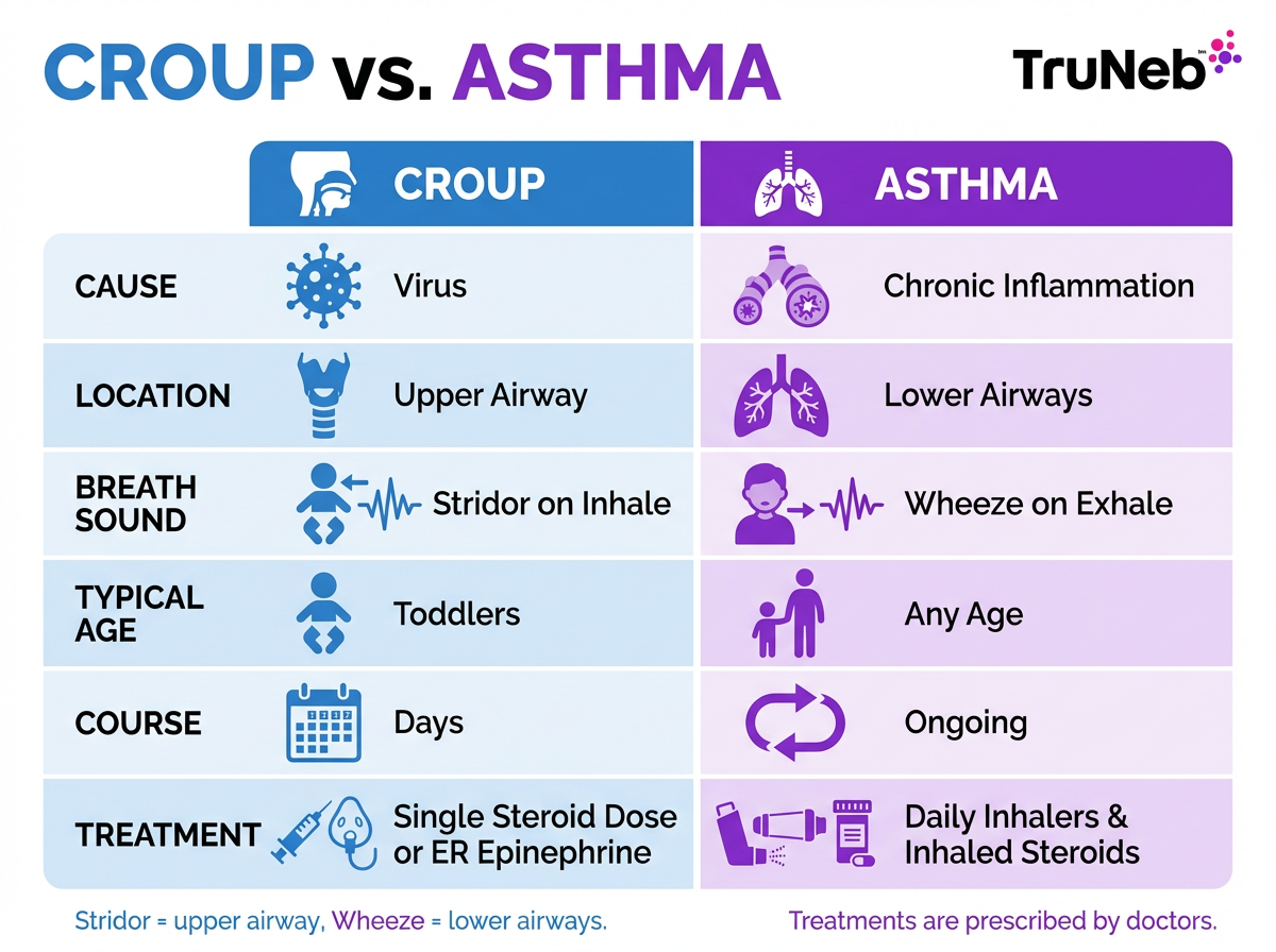 Comparison infographic showing differences between croup and asthma in cause, airway location, breath sound, age, course, and treatment.