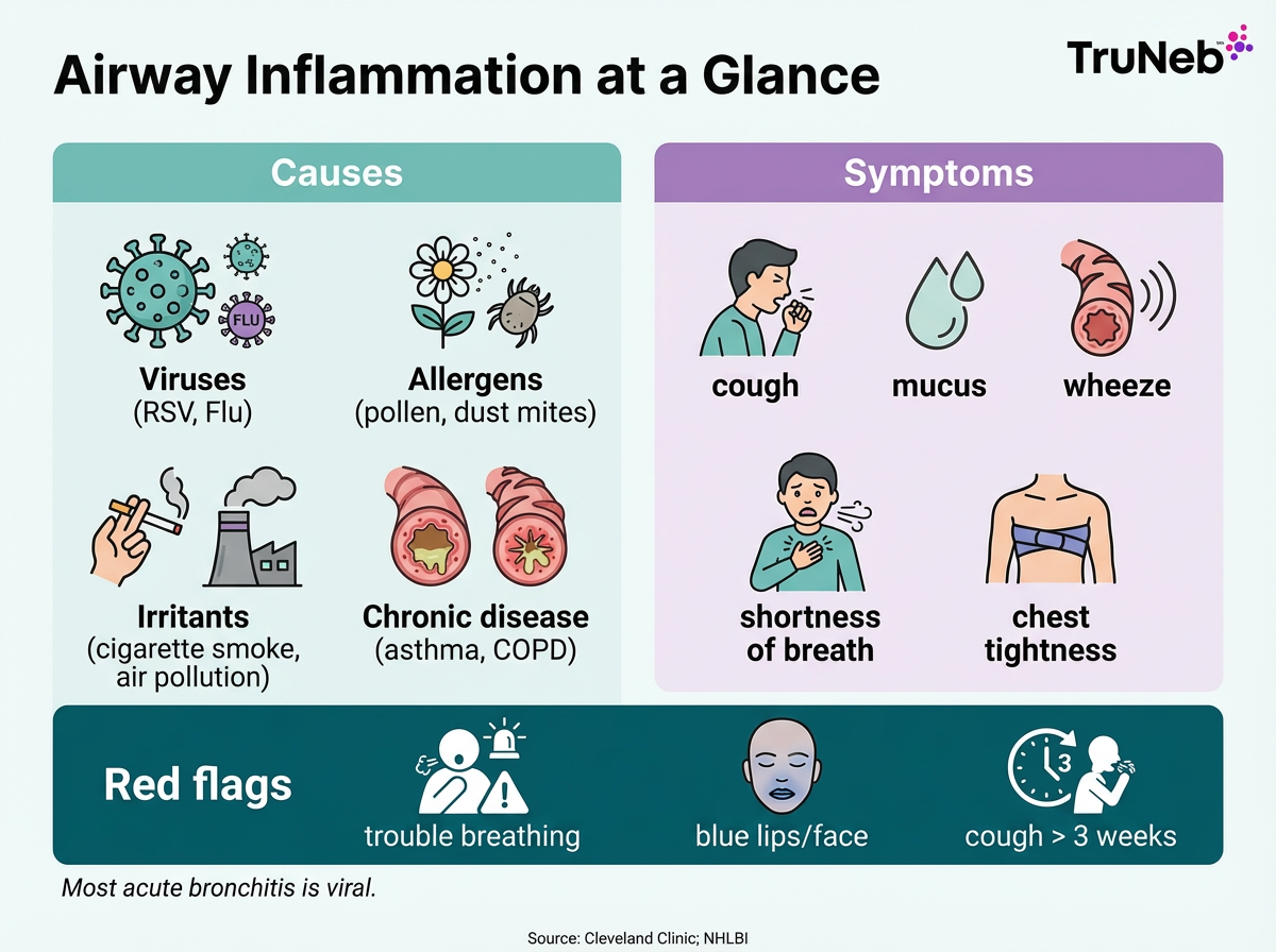 Airway inflammation at a glance showing causes (viruses like RSV and flu; allergens such as pollen and dust mites; irritants including cigarette smoke and air pollution; chronic disease like asthma and COPD) and symptoms (cough, mucus buildup, wheeze, shortness of breath, chest tightness), plus red flags: trouble breathing, blue lips/face, cough longer than 3 weeks.