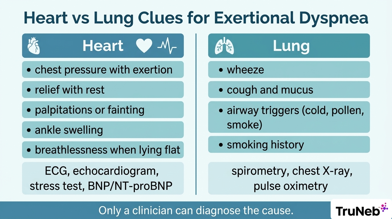 Infographic comparing heart-related and lung-related clues and tests for exertional shortness of breath.