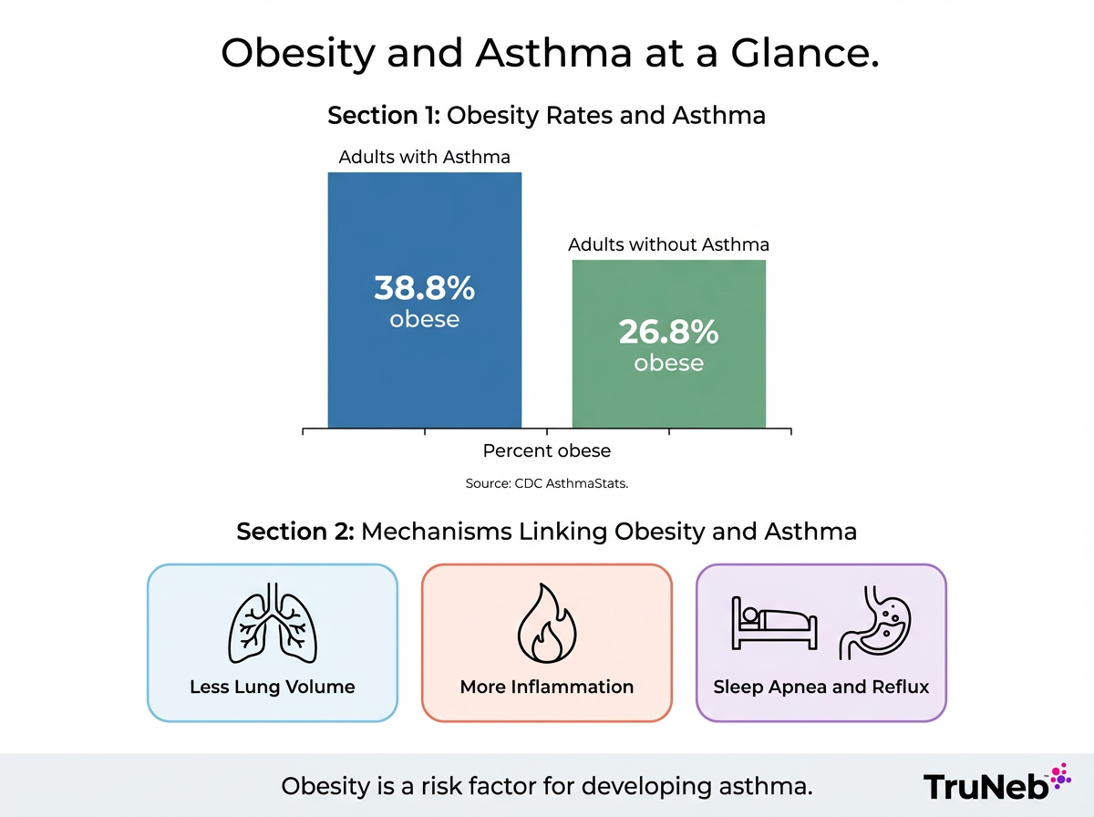 Infographic titled Obesity and Asthma at a Glance showing obesity rates in adults with and without asthma and mechanisms linking obesity and asthma