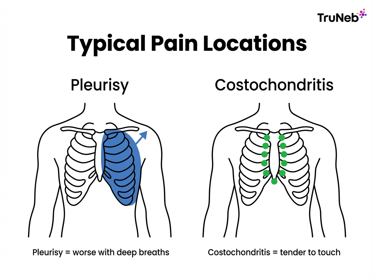 Infographic showing typical pain locations for pleurisy on one chest side and costochondritis along the breastbone.
