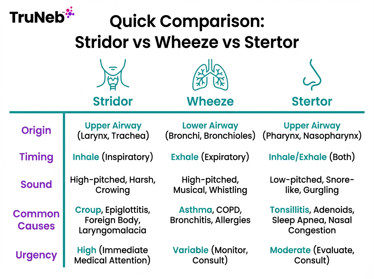 Quick Comparison: Stridor vs Wheeze vs Stertor Infographic table comparing stridor, wheeze, and stertor by origin, timing, sound, causes, and urgency