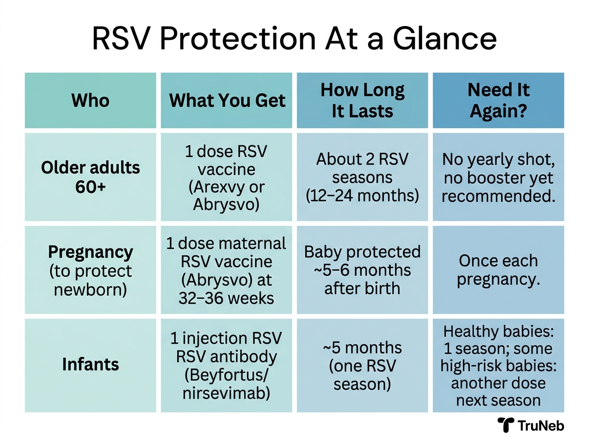 Infographic titled RSV Protection At a Glance comparing duration of protection for older adults, pregnancy, and infants