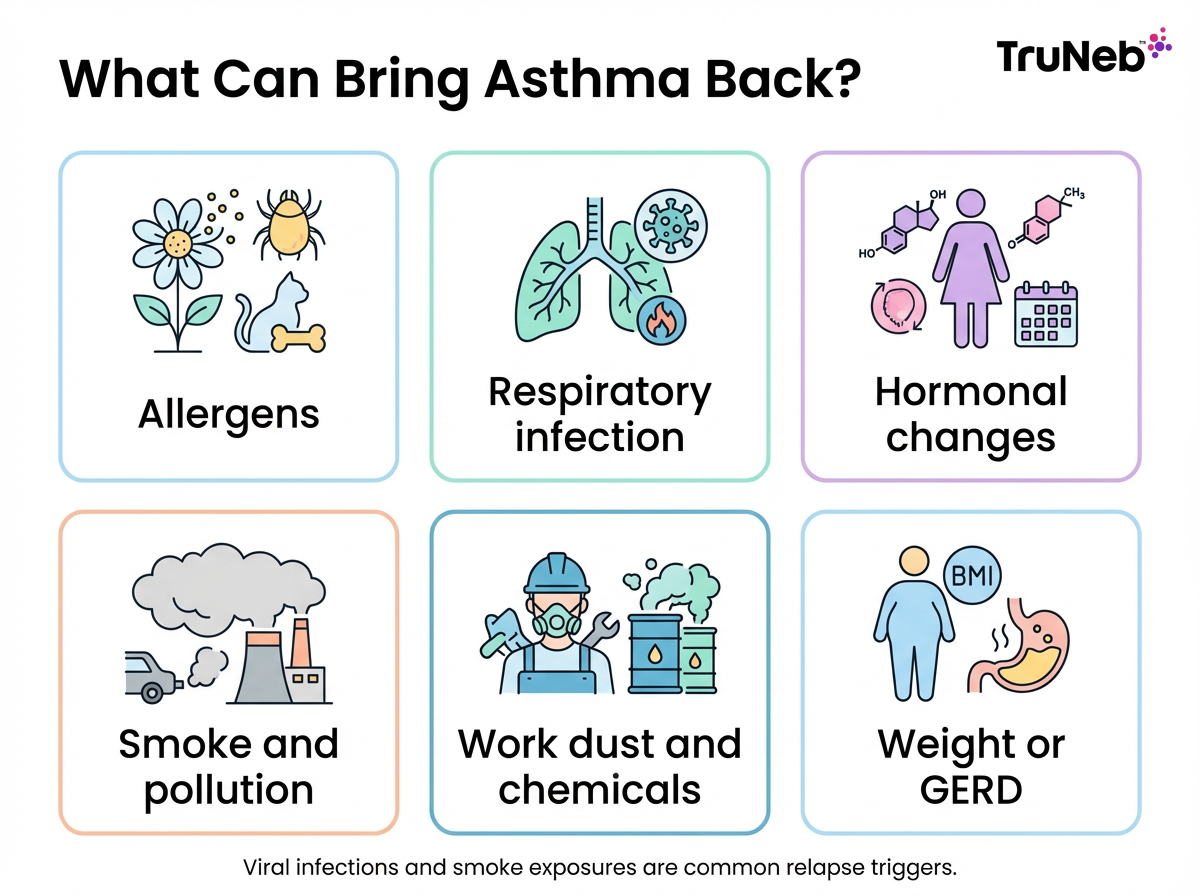 What Can Bring Asthma Back Infographic Infographic showing common triggers that can cause asthma to return, arranged in a clean icon grid.